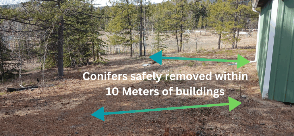 Rural barn with nearby conifers removed for FireSmart spacing
