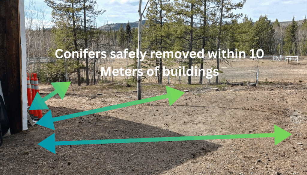 Hay shed area with surrounding conifers removed for FireSmart treatment