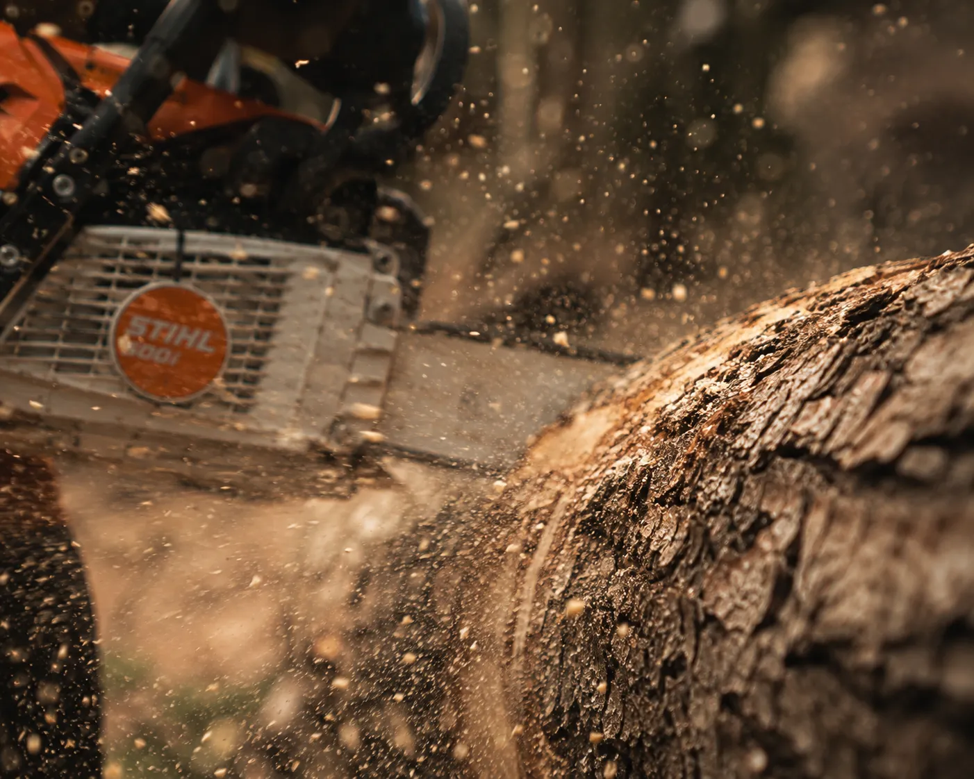 Chainsaw cutting firewood to stove length