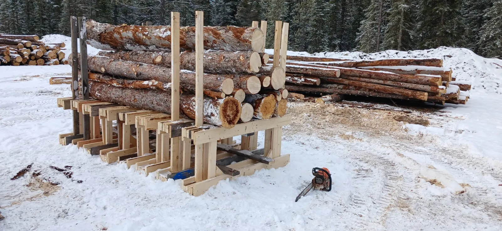 Bucking jig and sorted firewood material in a yard